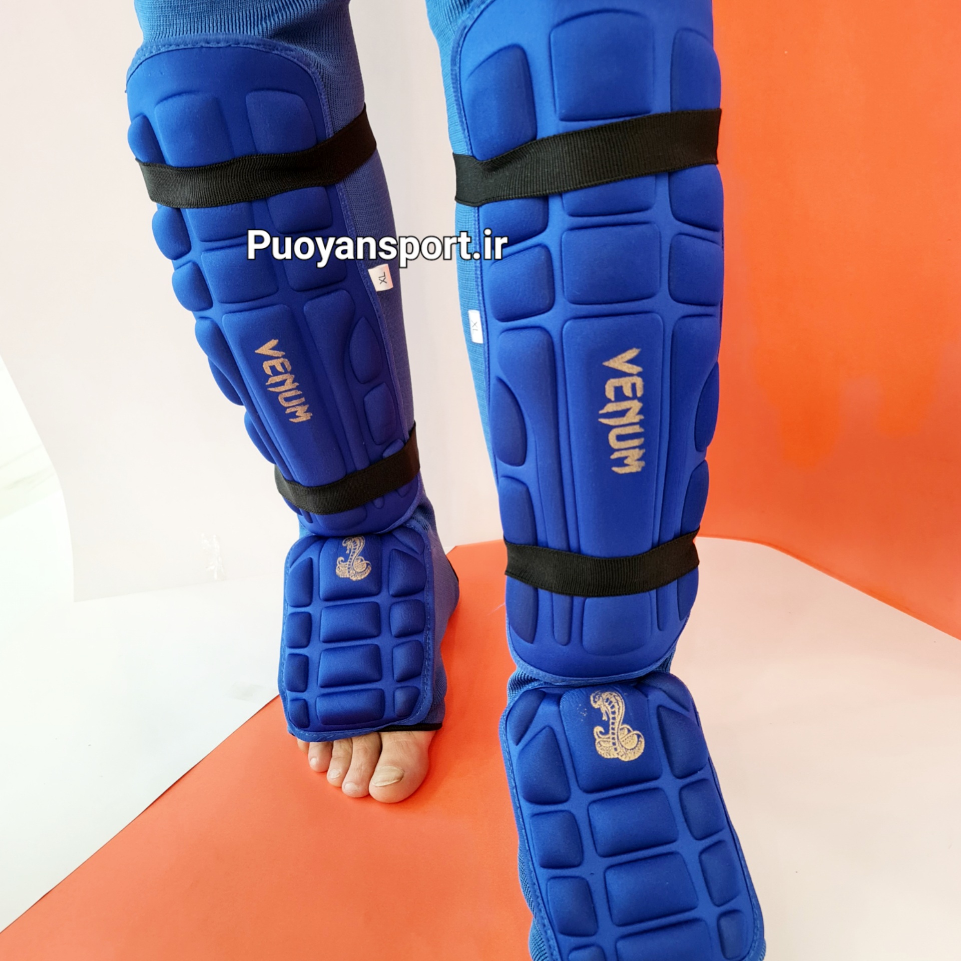 ساق روپایی لاکپشتی